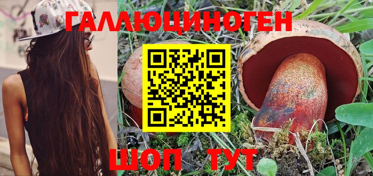Миллерово  Псилоцибиновые грибы Psilocybe  Вход с VPN 